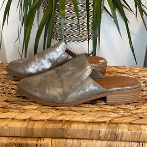 BC Silver Mules